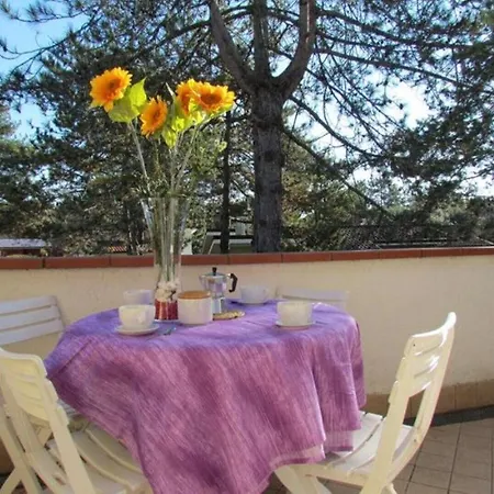 Apartamento Big With Terrace Barbecue - With Private Pools And Garden Bibione